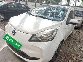 长安欧尚 奔奔E-Star 2021款 国民版 多彩款 磷酸铁锂（31.95kWh）