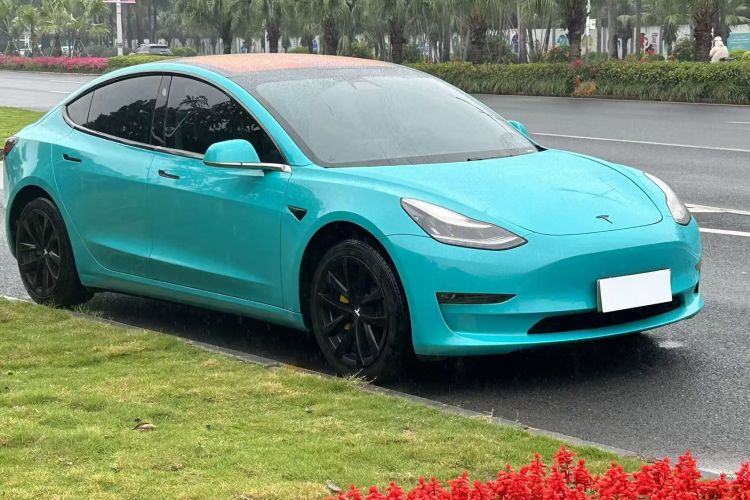 特斯拉 Model 3(进口) 2019款 长续航后驱版车身外观3