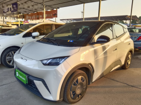 比亚迪 海鸥 2023款 活力版