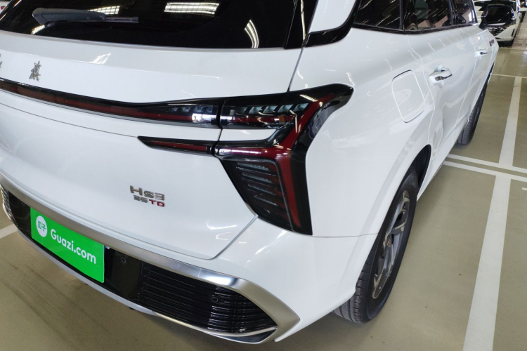 红旗HS3 2023款 1.5T 两驱善为版车身外观6006