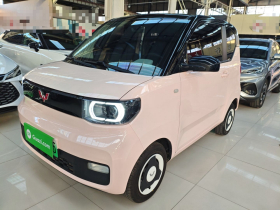 五菱汽车 宏光MINIEV 2021款 马卡龙臻享款 磷酸铁锂