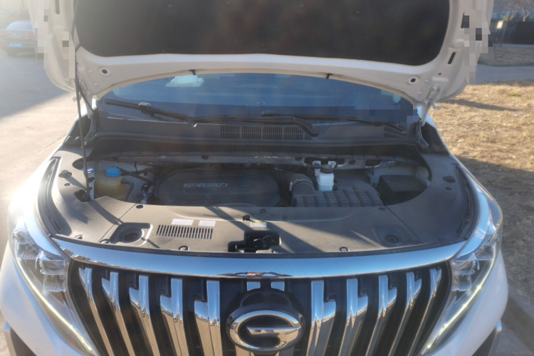 广汽传祺 传祺M8 2021款 大师系列 390T 尊贵版局部细节24