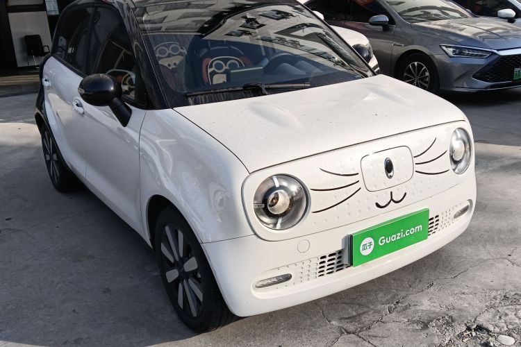 欧拉黑猫 2021款 405km 长续航型车身外观3