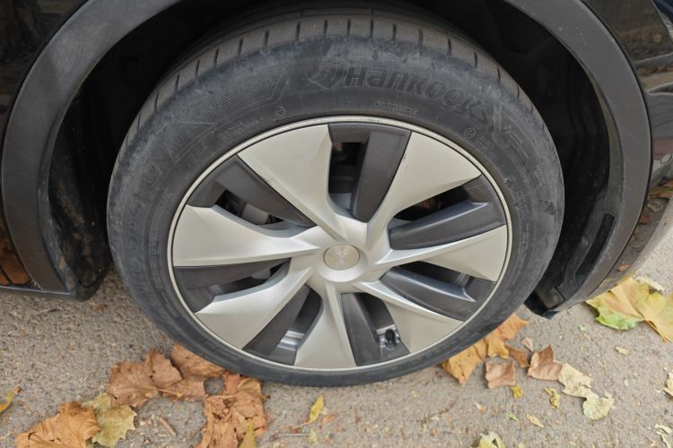 特斯拉 Model Y 2021款 标准续航后驱版车身外观10