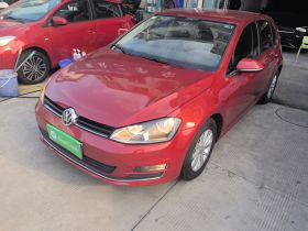 大众 高尔夫 2014款 1.6L 自动时尚型