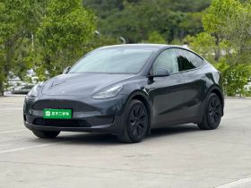 特斯拉 Model Y 2024款 后轮驱动版
