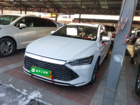 比亚迪 秦PLUS 2023款 冠军版 DM-i 120KM领先型