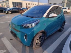 奇瑞 小蚂蚁 2021款 20万蚁粉款 元气版 三元锂 301km