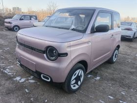 吉利银河 熊猫 2025款 210km 元气熊