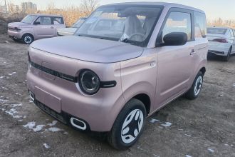 吉利银河 熊猫 2025款 210km 元气熊