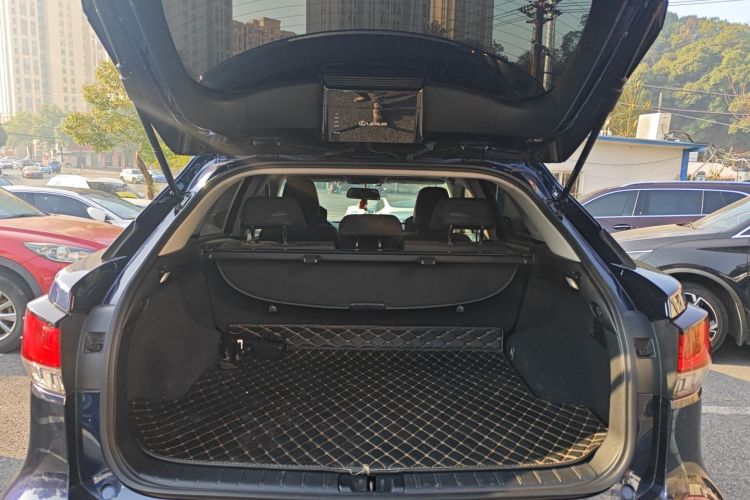 雷克萨斯RX 2020款 300 两驱精英版 国VI机舱底盘23