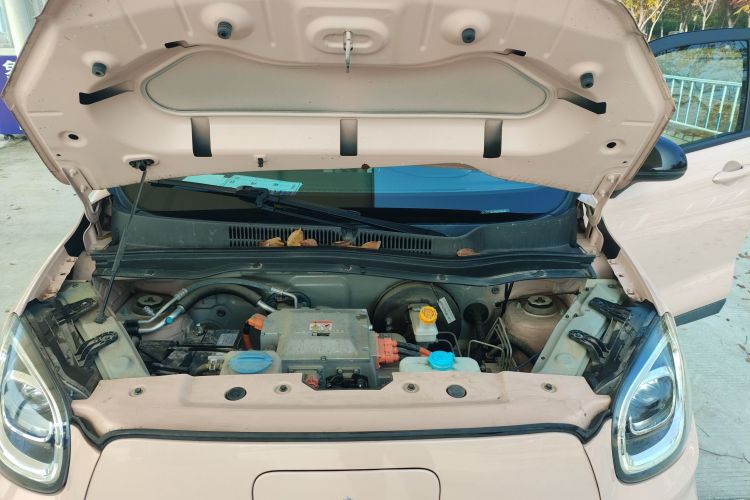 零跑汽车 零跑T03 2022款 珠光版机舱底盘24