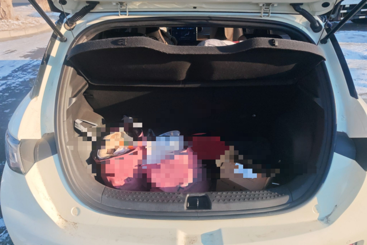 比亚迪 海豚 2023款 420km 时尚版中控内饰23