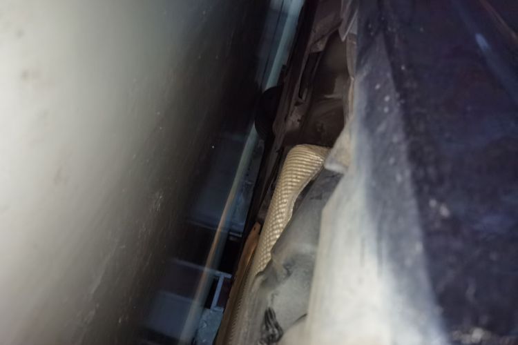 福特 蒙迪欧 2013款 2.0L GTDi240豪华运动型局部细节9003