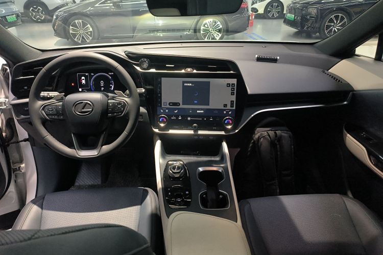 雷克萨斯RZ 2023款 450e 四驱纵享版中控内饰7002