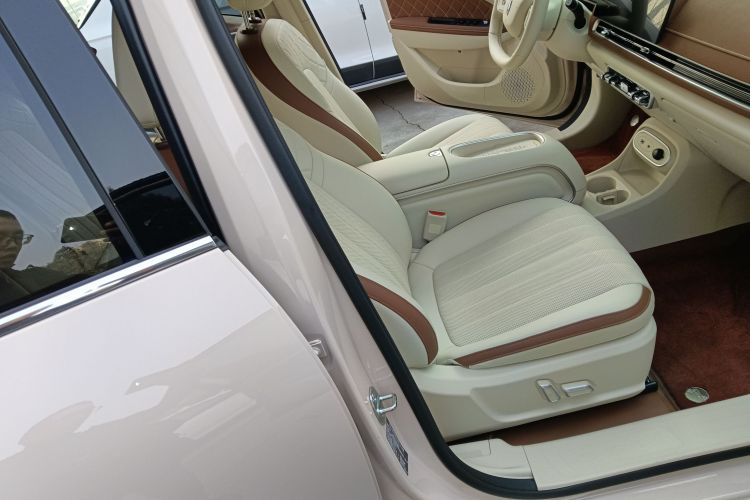 欧拉好猫 2025款 430km 尊荣型局部细节41