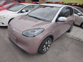 五菱汽车 五菱缤果 2023款 333km 灵犀互联款