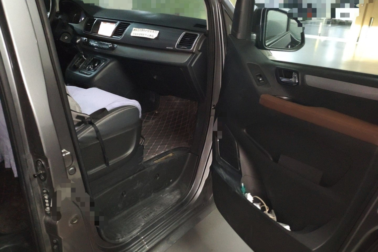 上汽大通MAXUS 大通G10 2019款 PLUS 2.0T 自动精英版 国VI局部细节9005