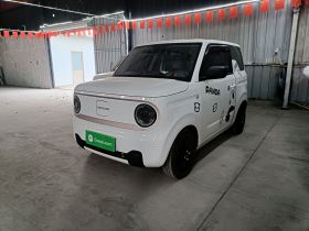 吉利银河 2023款 熊猫mini 200km 耐力熊