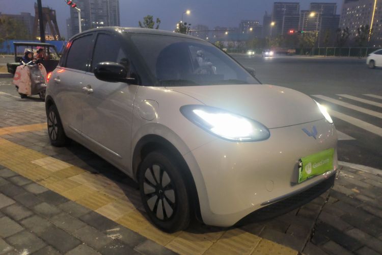 五菱汽车 五菱缤果 2024款 333km 悦享款车身外观3