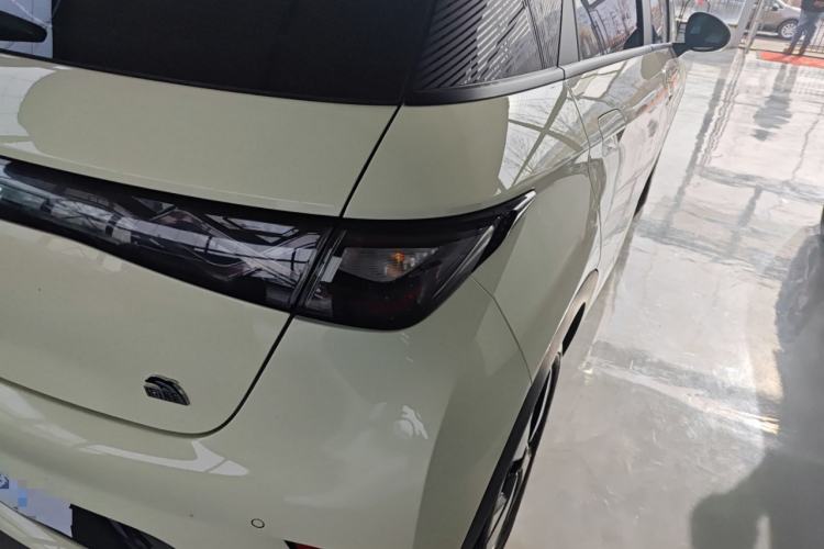 比亚迪 海豚 2023款 420km 自由版车身外观6006