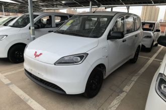 五菱汽车 五菱宏光新能源 2024款 纯电版 300KM 标准型