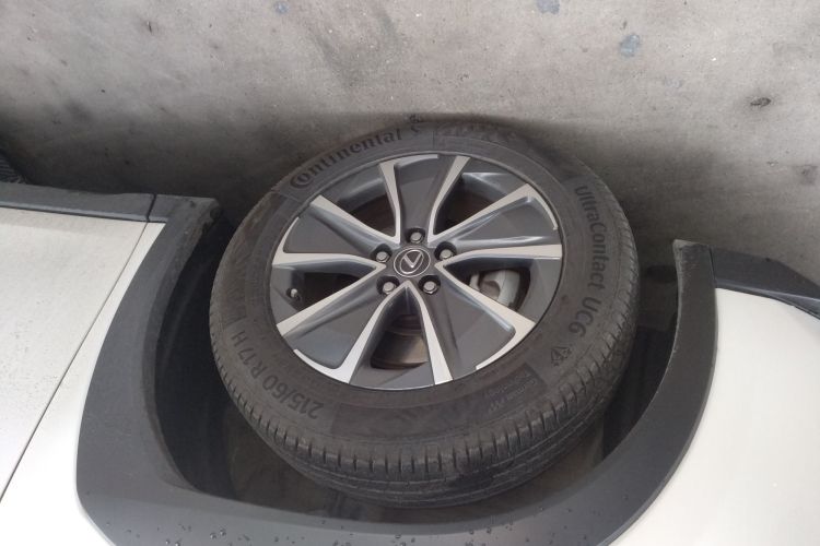 雷克萨斯UX新能源 2020款 300e 纯·悦版车身外观6007