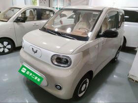 五菱汽车 宏光MINIEV 2024款 第三代 215km 青春版