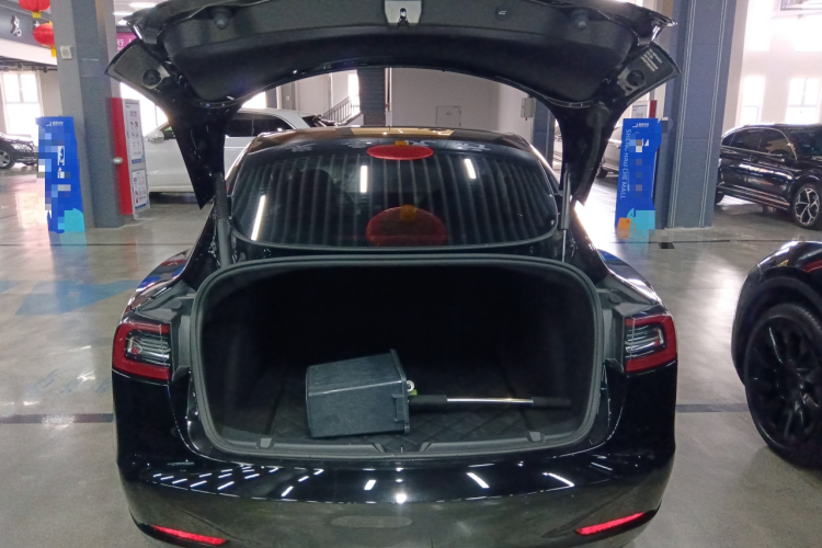 特斯拉 Model 3 2021款 标准续航后驱升级版 3D6局部细节23