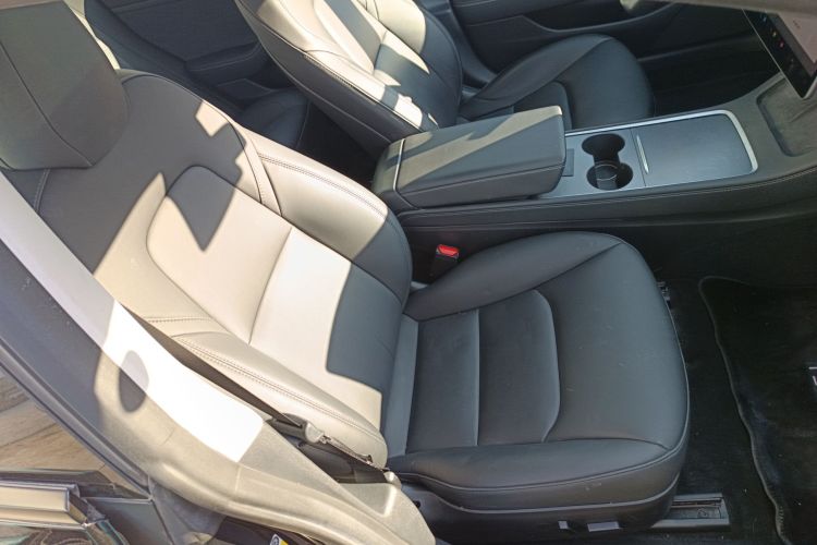 特斯拉 Model 3 2021款 标准续航后驱升级版 3D6局部细节41