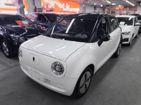 欧拉黑猫 2021款 301km 基础型