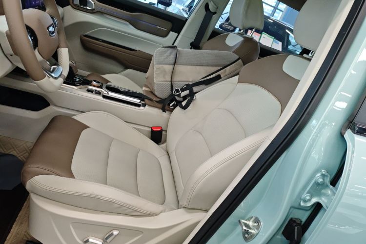 吉利汽车 吉利icon 2022款 1.5TD 青鸢限量款中控内饰19