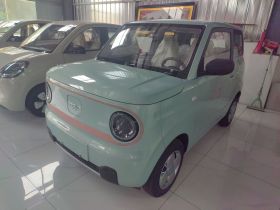 吉利银河 2024款 熊猫mini 200km 耐力熊