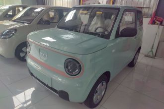 吉利银河 2024款 熊猫mini 200km 耐力熊