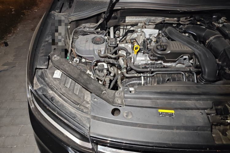 大众 途观L 2025款 出众款 300TSI 自动两驱龙腾版局部细节9006