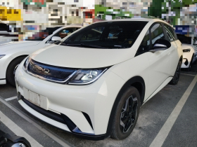 比亚迪 海豚 2024款 荣耀版 420km 自由版