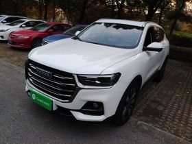 哈弗H6 2021款 国潮版 1.5T 自动冠军版