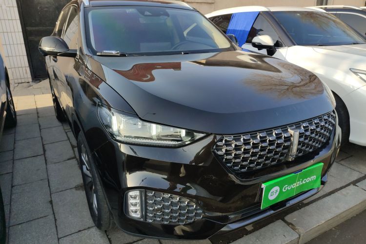 魏牌 VV6 2020款 2.0T 两驱智享+车身外观6001