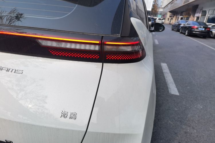 比亚迪 海鸥 2024款 荣耀版 305km 自由版车身外观6006