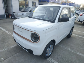 吉利银河 2024款 熊猫mini 200km 耐力熊