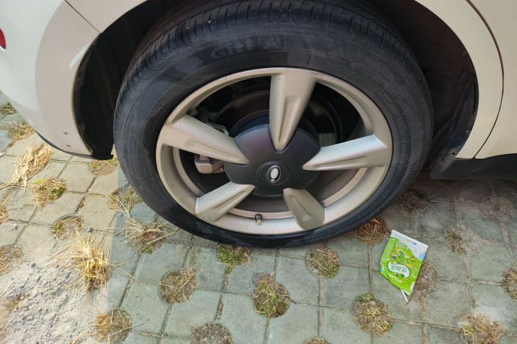 欧拉好猫 2021款 400km标准续航 维纳斯版 三元锂车身外观6008