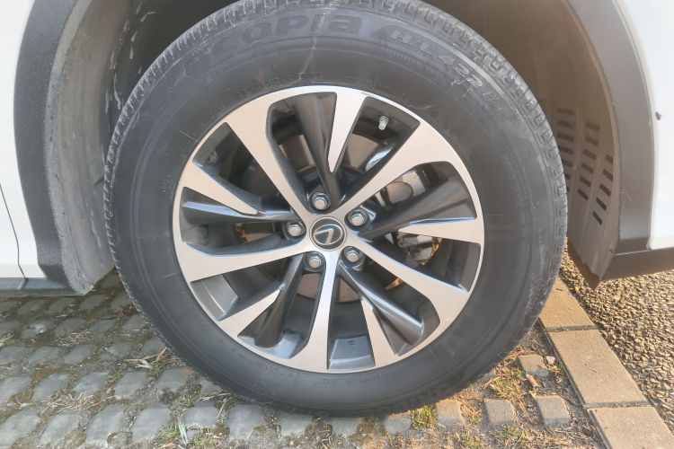 雷克萨斯RX 2020款 300 两驱精英版 国VI车身外观10