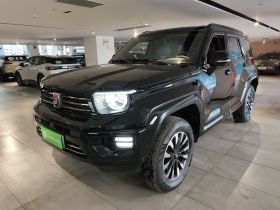 坦克700新能源 2024款 Hi4-T 极致版