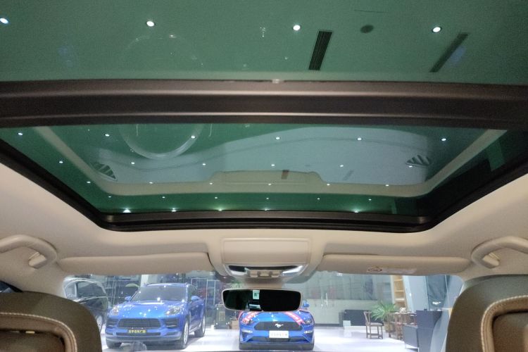 大众 帕萨特 2019款 380TSI 旗舰版 国VI中控内饰22