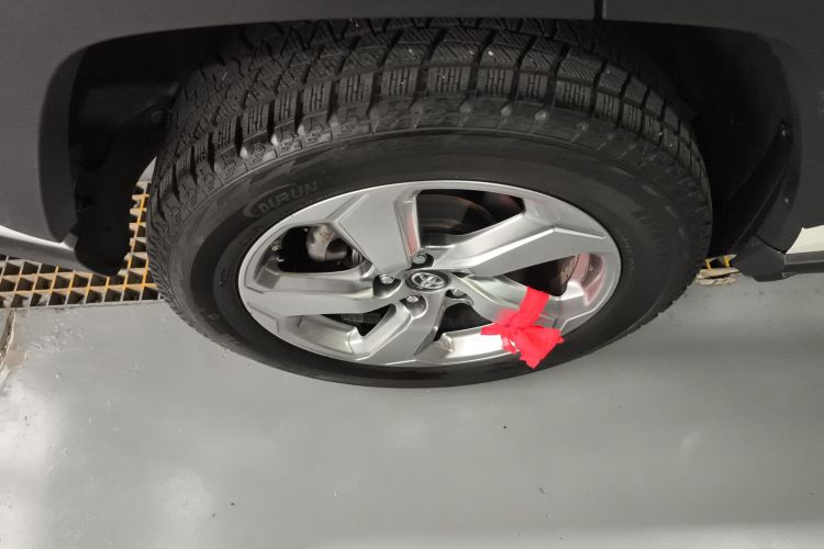 丰田 RAV4荣放 2020款 2.0L CVT两驱风尚版车身外观6008