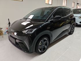 比亚迪 海鸥 2024款 荣耀版 405km 飞翔版