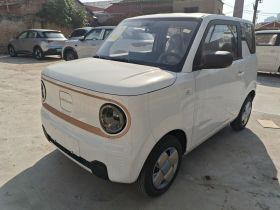 吉利银河 2024款 熊猫mini 200km 耐力熊