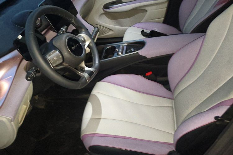 比亚迪 海豚 2021款 405km 时尚版局部细节19