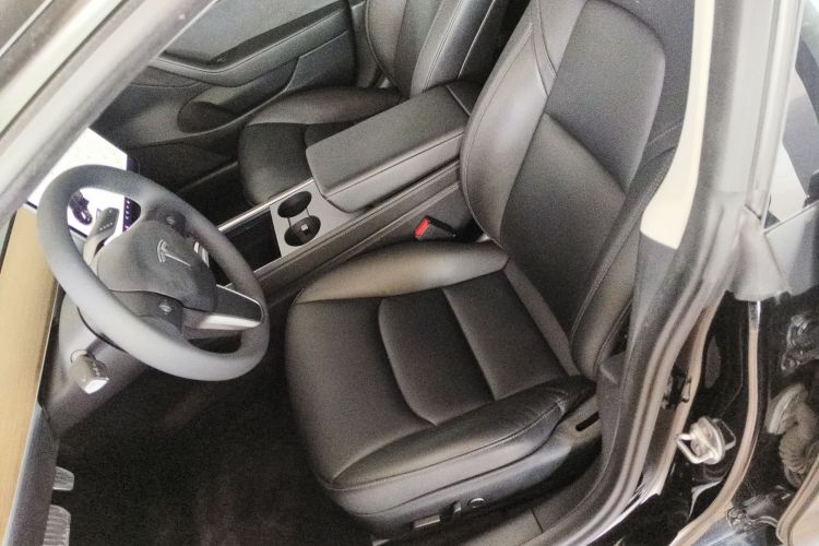 特斯拉 Model 3 2021款 标准续航后驱升级版 3D6局部细节19