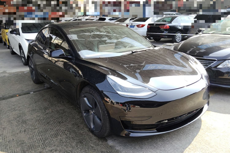 特斯拉 Model 3 2020款 标准续航后驱升级版车身外观6002